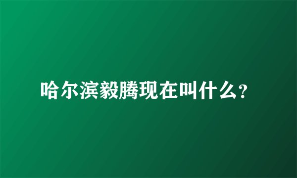 哈尔滨毅腾现在叫什么？