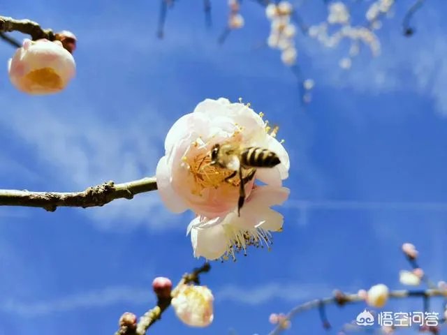 过年是否就是一家人团团圆圆在一起呢?