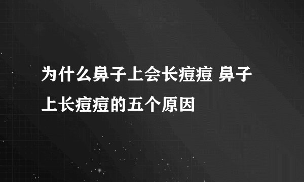 为什么鼻子上会长痘痘 鼻子上长痘痘的五个原因