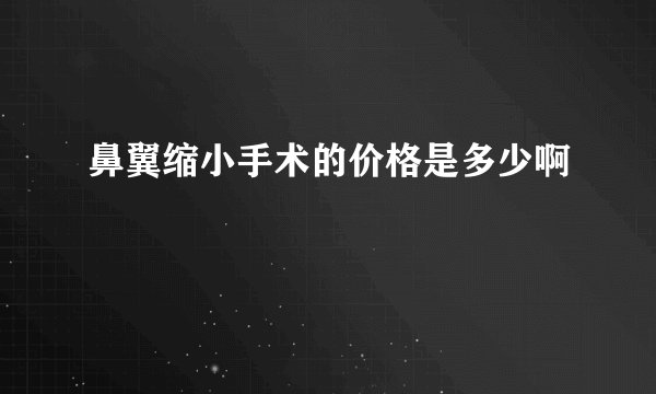 鼻翼缩小手术的价格是多少啊