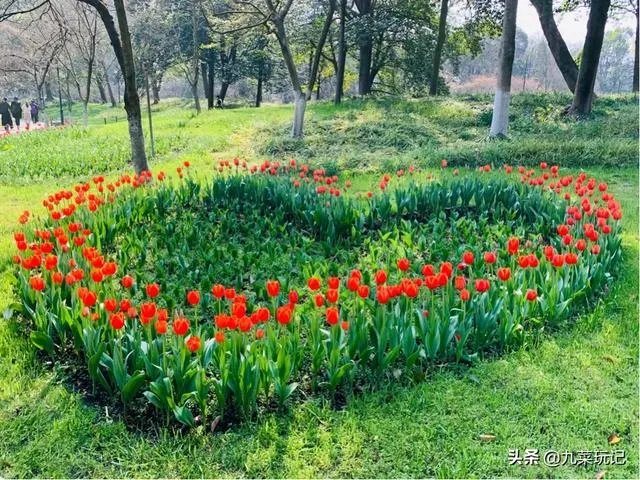杭州的太子湾公园好玩吗?是否值得周末去玩?