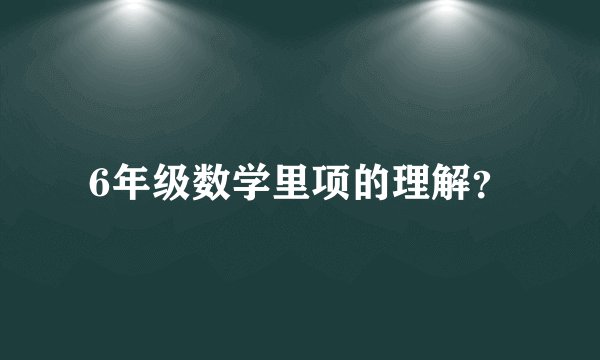 6年级数学里项的理解？