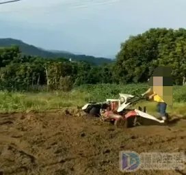 三农问题是指什么