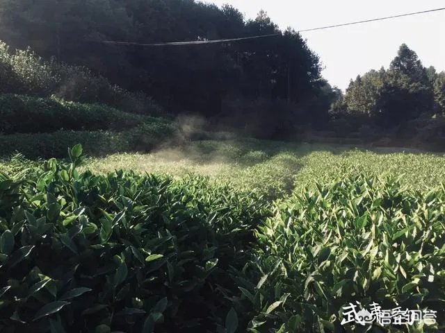 现代农业产业园该如何创建？