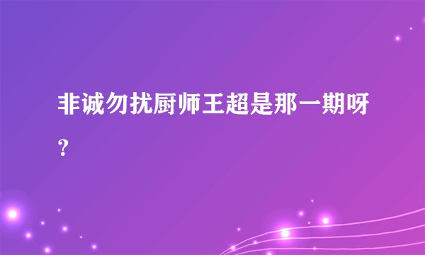 非诚勿扰厨师王超是那一期呀？