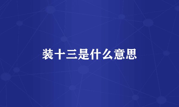 装十三是什么意思