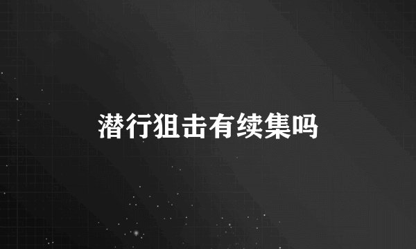 潜行狙击有续集吗