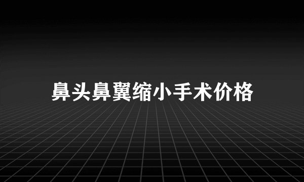 鼻头鼻翼缩小手术价格