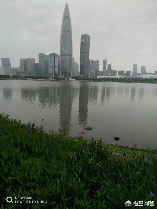 楼市再次回暖,2019年下半年房价会涨吗?