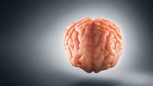 脑梗死是什么意思