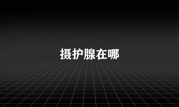 摄护腺在哪