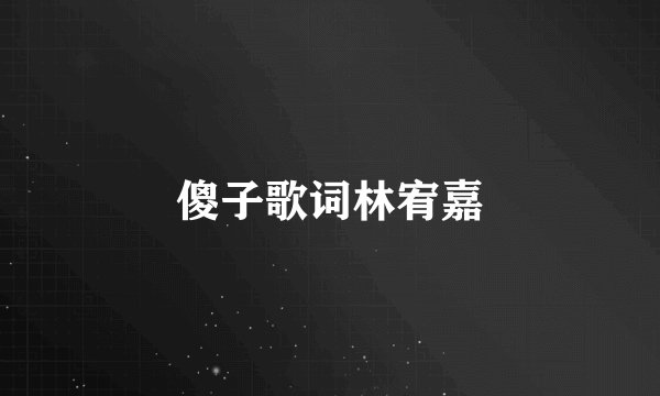 傻子歌词林宥嘉