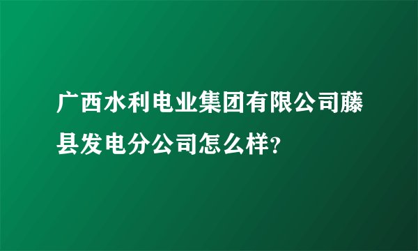 广西水利电业集团有限公司藤县发电分公司怎么样？
