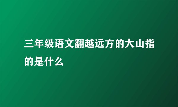 三年级语文翻越远方的大山指的是什么