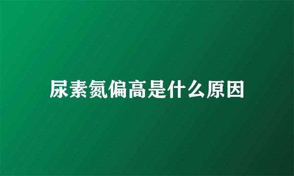 尿素氮偏高是什么原因