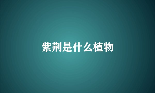 紫荆是什么植物