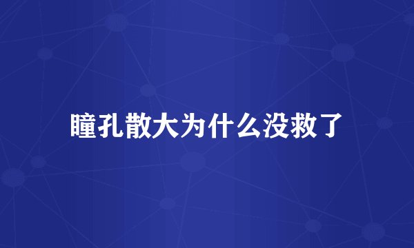 瞳孔散大为什么没救了