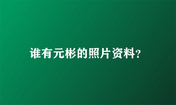 谁有元彬的照片资料？