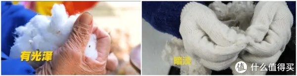 拆开百元棉被，里面全是黑心棉？！