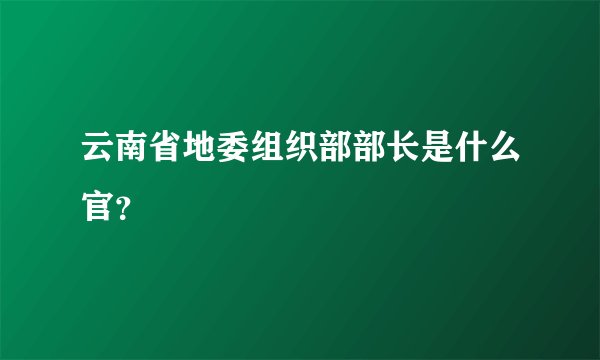 云南省地委组织部部长是什么官？
