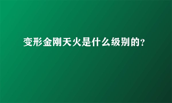 变形金刚天火是什么级别的？