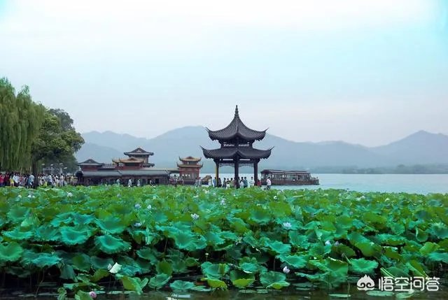 杭州周边一日游都有哪些好玩的选择?