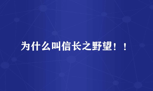 为什么叫信长之野望！！