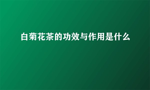 白菊花茶的功效与作用是什么