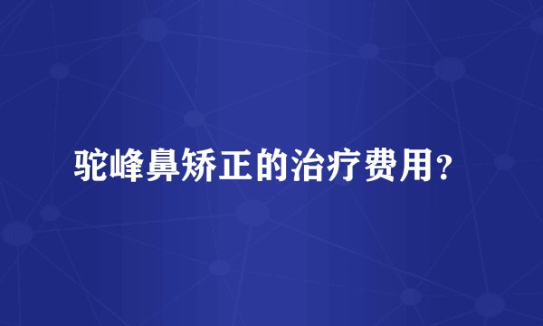 驼峰鼻矫正的治疗费用？