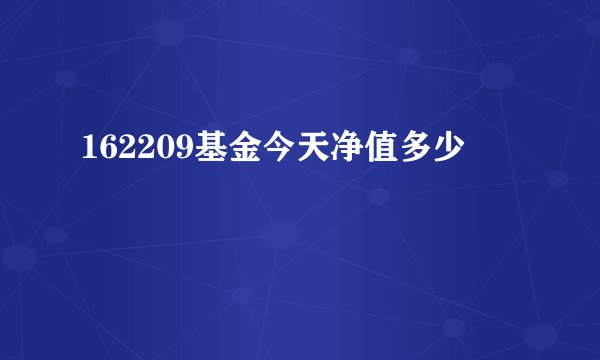 162209基金今天净值多少