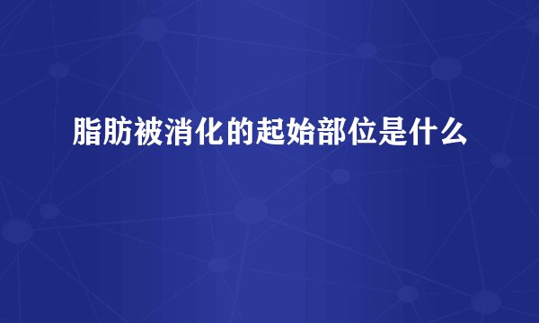 脂肪被消化的起始部位是什么