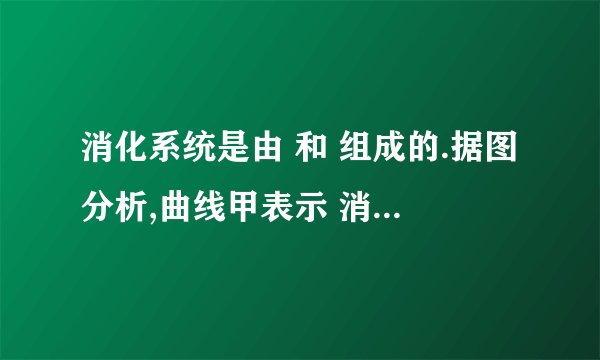 消化系统是由 和 组成的.据图分析,曲线甲表示 消化成 的过程;曲线乙表示 消化成 的过程.
