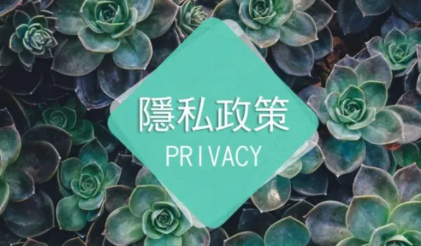 privacy policy是什么意思?