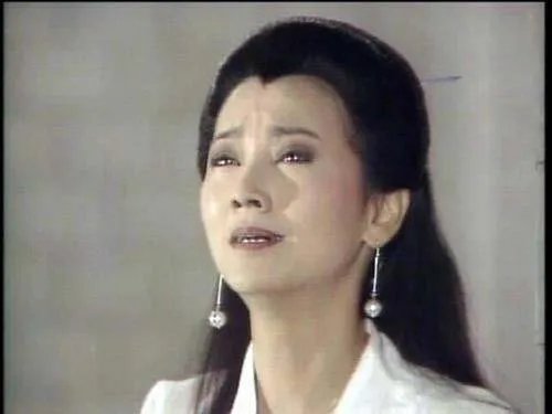 新白娘子传奇中的所有插曲都有哪些?