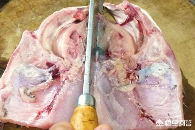 剁椒鱼头蒸多少分钟肉质最鲜嫩？