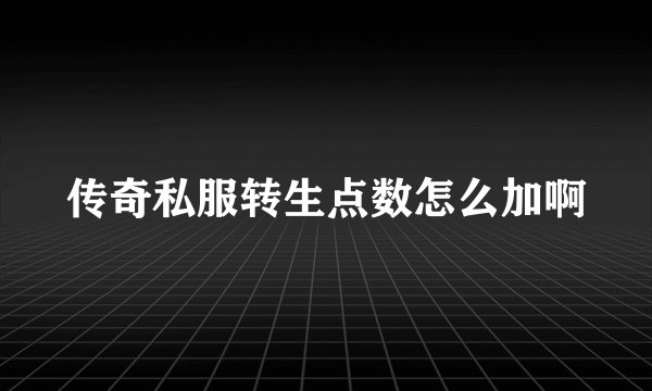 传奇私服转生点数怎么加啊