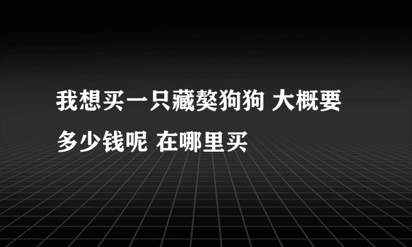 我想买一只藏獒狗狗 大概要多少钱呢 在哪里买