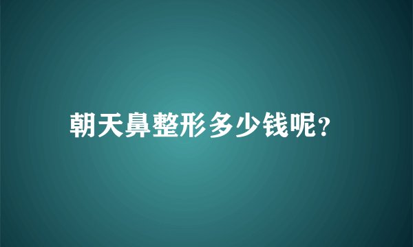 朝天鼻整形多少钱呢？