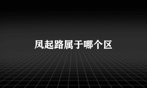 凤起路属于哪个区
