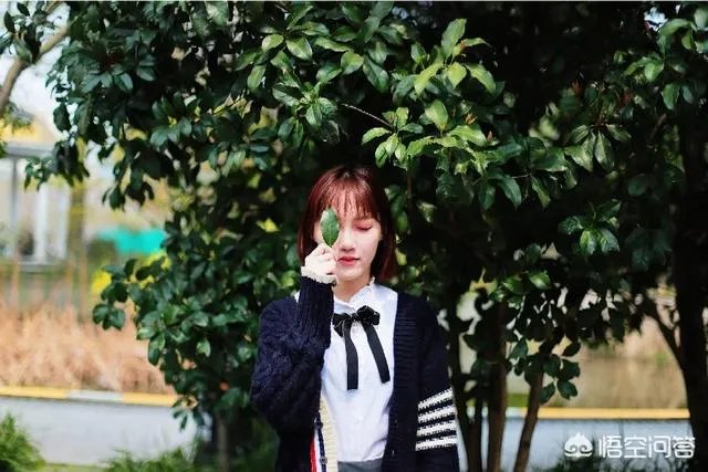 杭州的太子湾公园好玩吗?是否值得周末去玩?