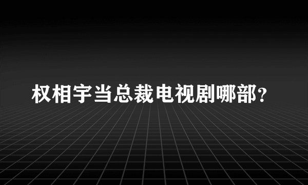 权相宇当总裁电视剧哪部？