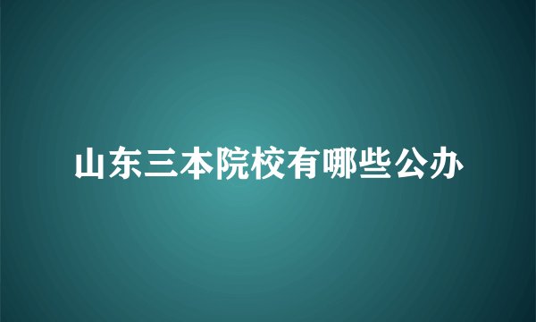 山东三本院校有哪些公办
