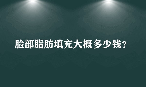 脸部脂肪填充大概多少钱？