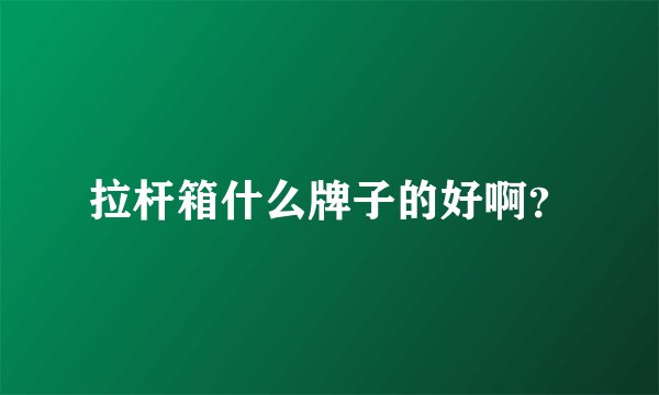 拉杆箱什么牌子的好啊？