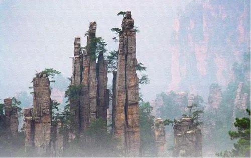 张家界有什么好的旅游公司吗?