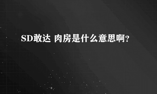 SD敢达 肉房是什么意思啊？