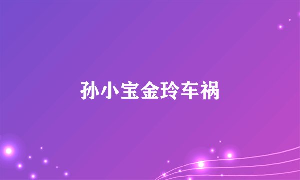 孙小宝金玲车祸