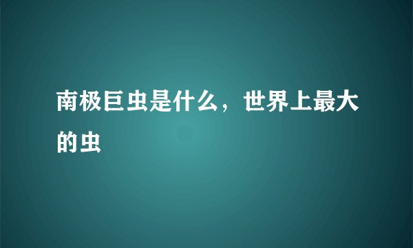南极巨虫是什么,世界上最大的虫
