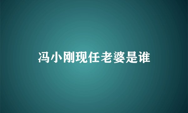 冯小刚现任老婆是谁