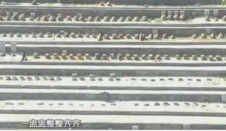 收楼发现是墓景房，该怎么办？